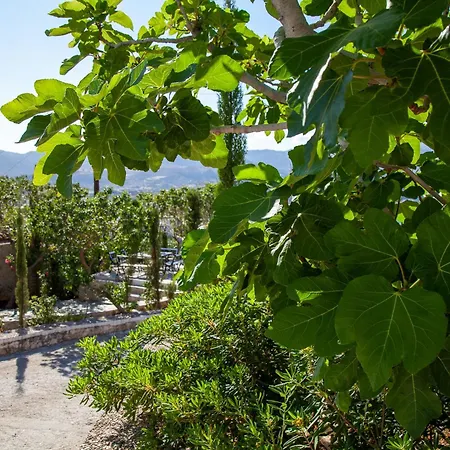 Michel-angelo Bed and Breakfast