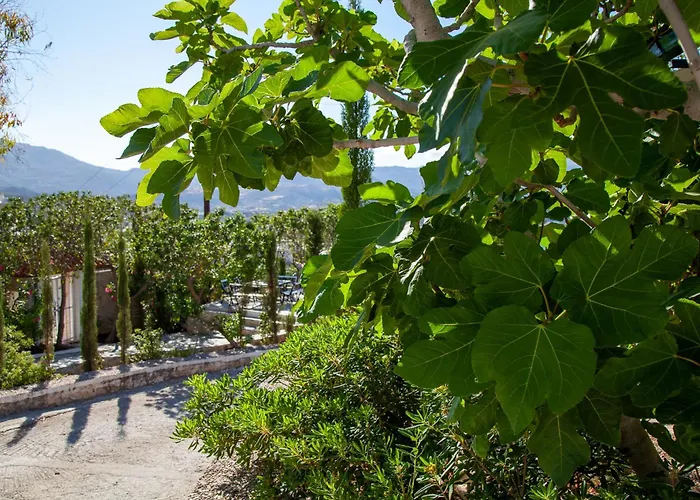 Michel-angelo Отель типа 